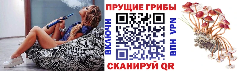 купить наркотик  Каневская  MEGA как войти  Галлюциногенные грибы мицелий 