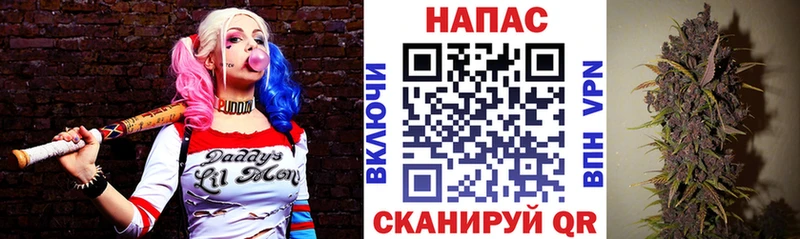 Каннабис SATIVA & INDICA  как найти   Каневская 